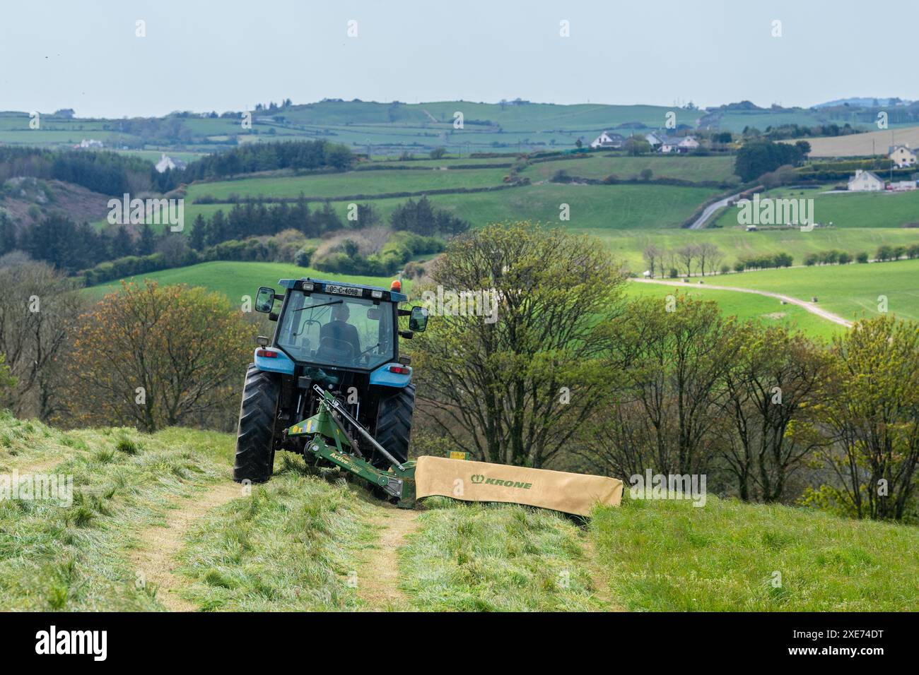 Knocknageehy, West Cork, Irlanda. 22 aprile 2024. Dopo mesi di piogge intense, gli agricoltori stanno finalmente tagliando l'erba per l'insilato. Allevatore di manzo pedigree, Keit Foto Stock