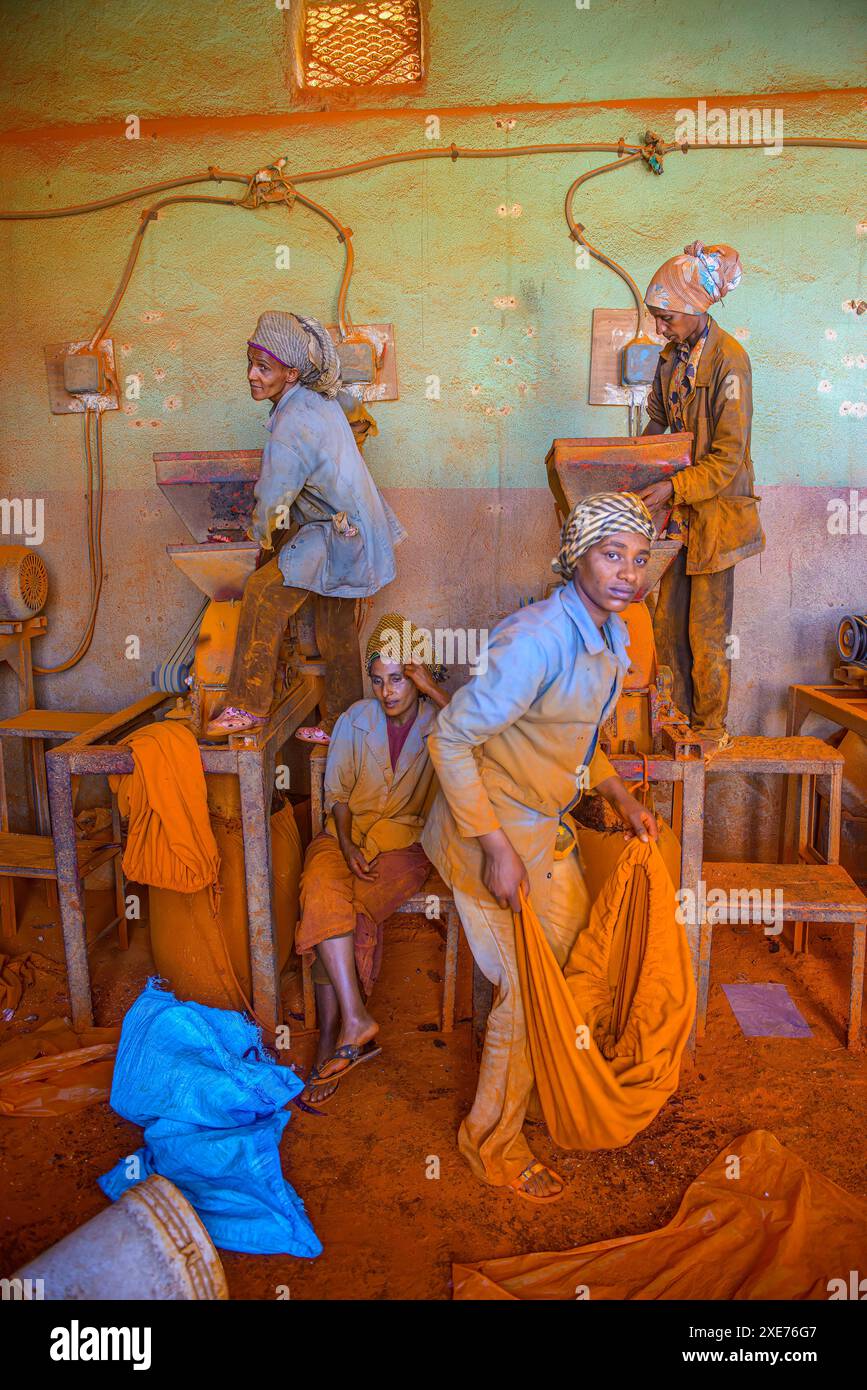 Donne che lavorano in una fabbrica di spezie di pepe rosso Berbere al Medebar Market, Asmara, Eritrea, Africa Foto Stock
