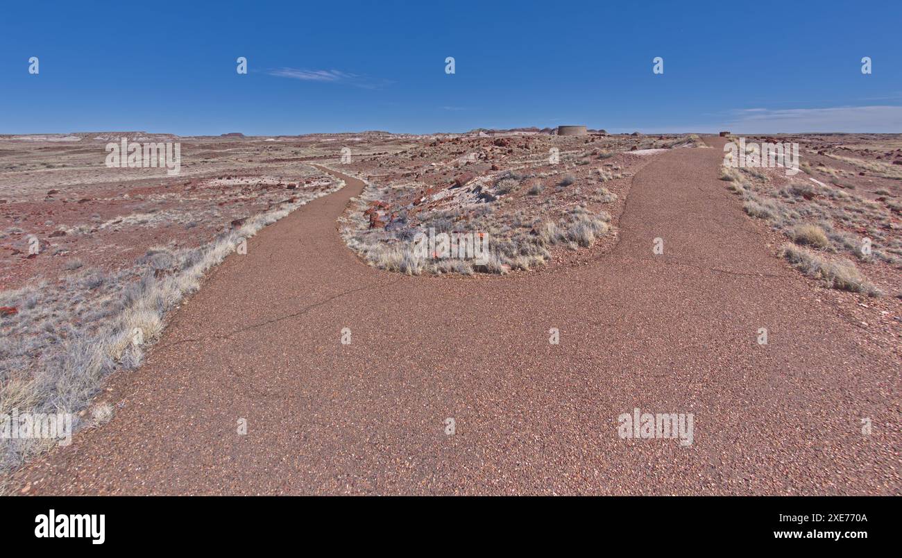 Una spaccatura nel sentiero che porta alla storica Agate House nel Petrified Forest National Park, Arizona, Stati Uniti d'America, Nord America Foto Stock