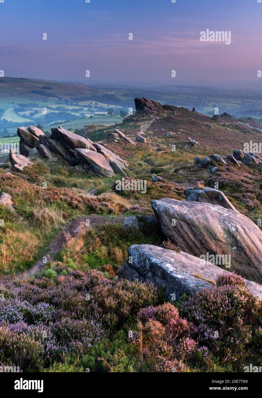 Ramshaw Rocks and Purple heather in estate, vicino a Leek, Peak District National Park, Staffordshire Moorlands, Staffordshire, Inghilterra, Regno Unito Foto Stock