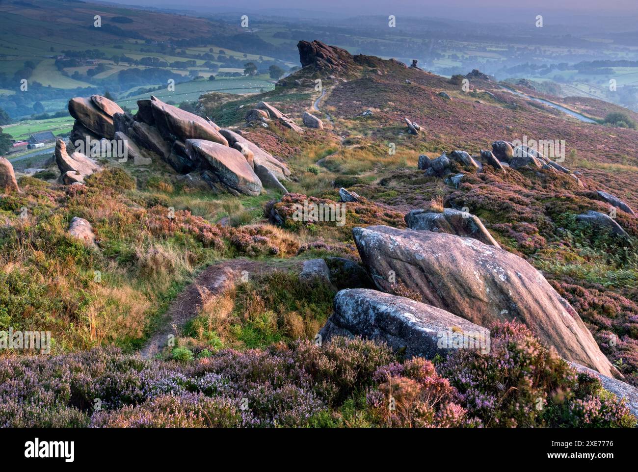 Ramshaw Rocks e Purple heather Moorland in estate, vicino a Leek, Peak District National Park, Staffordshire Moorlands, Staffordshire, Inghilterra Foto Stock