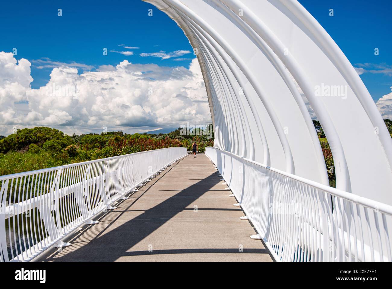 Architettura unica del ponte te Rewa Rewa a New Plymouth, Isola del Nord, nuova Zelanda, Pacifico Foto Stock