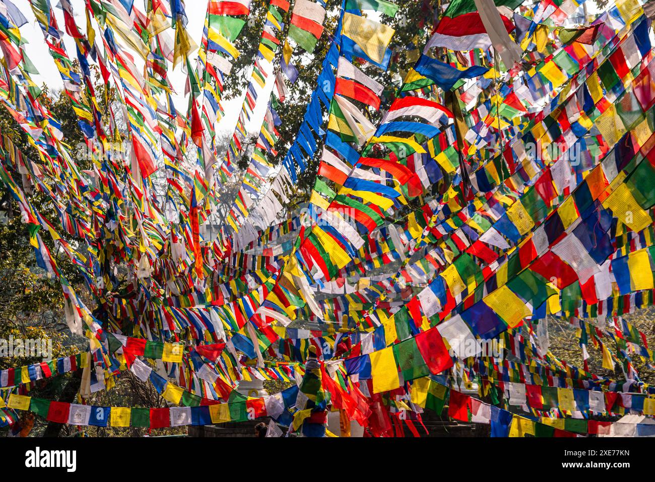 Cornice coperta da colorate bandiere di preghiera tibetane, bandiere di preghiera buddiste al vento, Kathmandu, Nepal, Asia Foto Stock