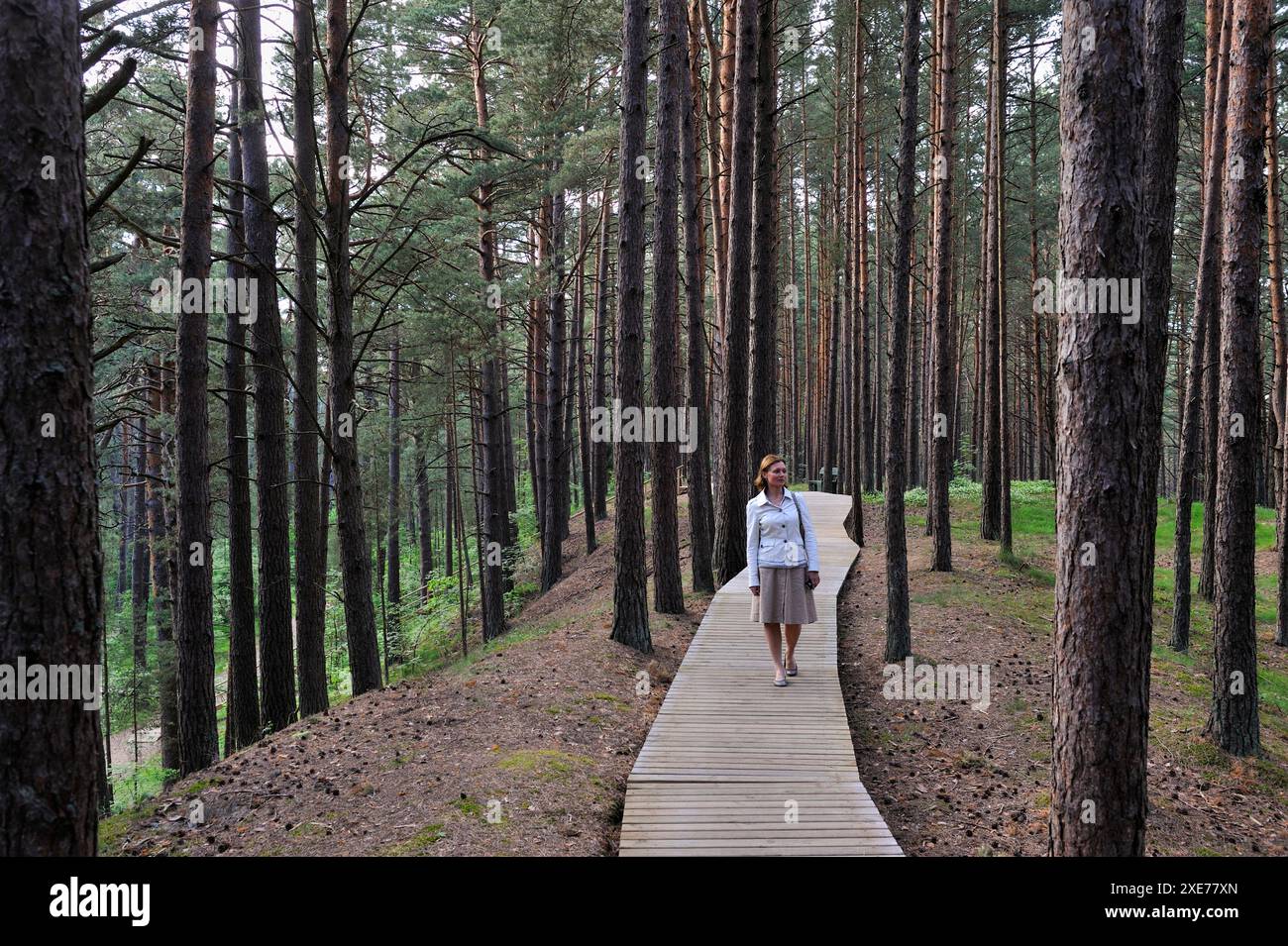 Passerella attraverso la pineta costiera nella riserva naturale di Ragakapa, nella zona di Lielupe, Jurmala, Golfo di riga, Lettonia, regione baltica, Europa Foto Stock