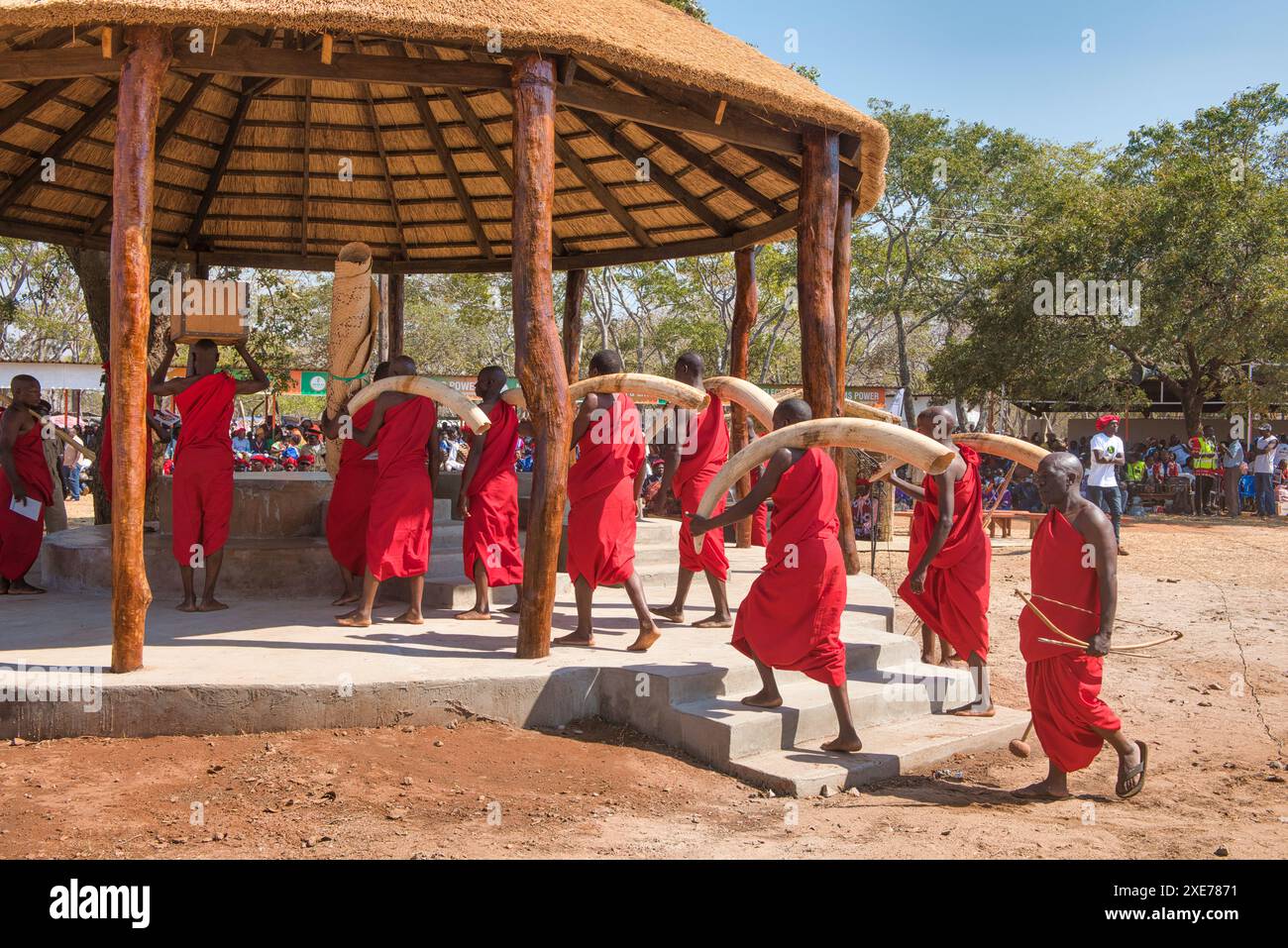 L'avorio e altri possedimenti del Paramount Chief Kalonga Gaia uni sono messi in atto per la cerimonia Kulamba, Katete, Provincia Orientale, Zambia Foto Stock