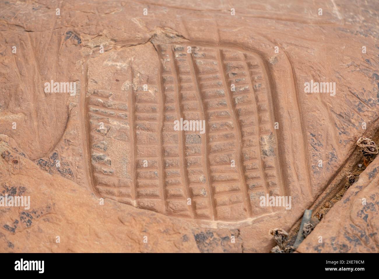 Petroglifo Foto Stock