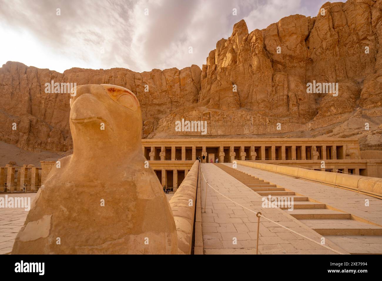 Vista del Tempio Mortuario di Hatshepsut, sito patrimonio dell'umanità dell'UNESCO, Deir el-Bahari, Tebe, Egitto, Nord Africa, Africa Foto Stock