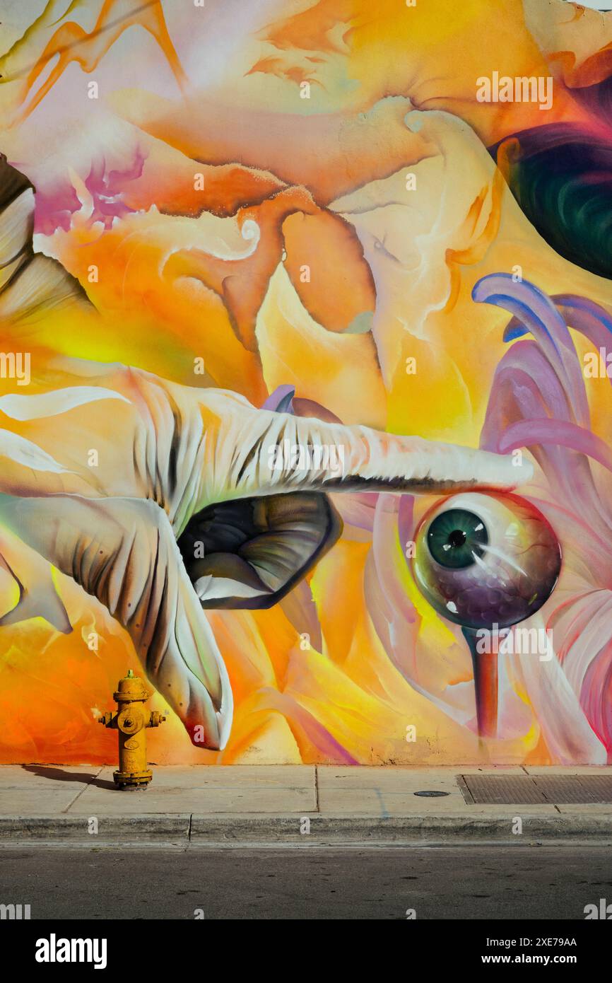 Wall Murals, Wynwood District, Miami, Dade County, Florida, Stati Uniti d'America, Nord America Foto Stock