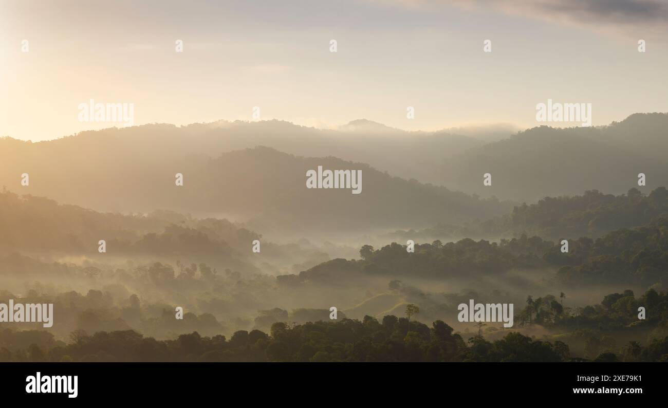 Vista aerea del Parco Nazionale del Corcovado, della Provincia di Puntarenas, della Costa Rica, dell'America centrale Foto Stock