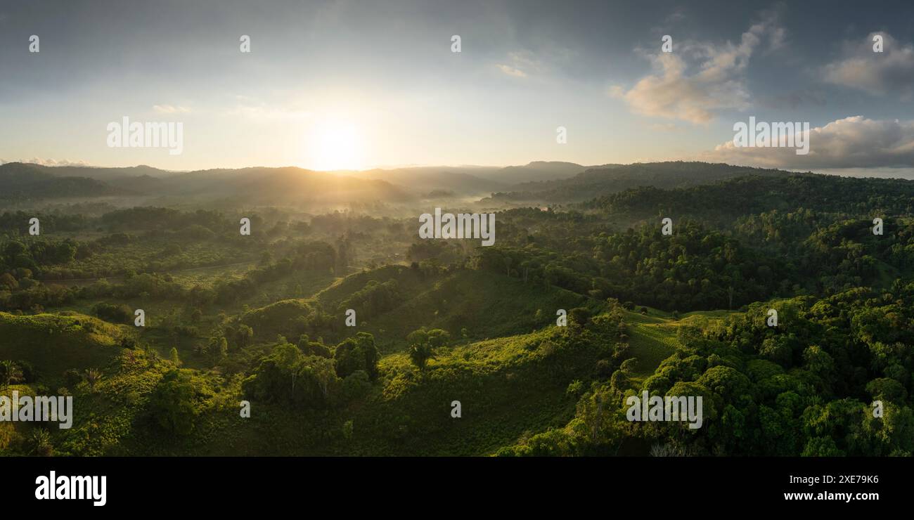 Vista aerea del Parco Nazionale del Corcovado, della Provincia di Puntarenas, della Costa Rica, dell'America centrale Foto Stock