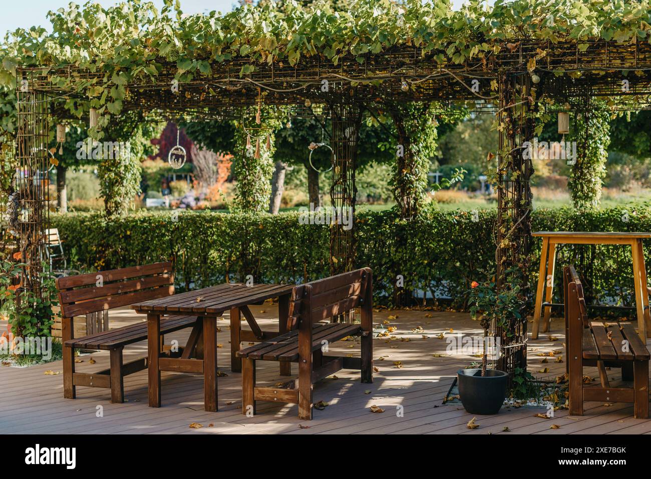 Mobili da giardino per il tempo libero nella natura. Sedie e tavolo vuoti in Orchard. Mobili in legno per esterni per picnic Foto Stock