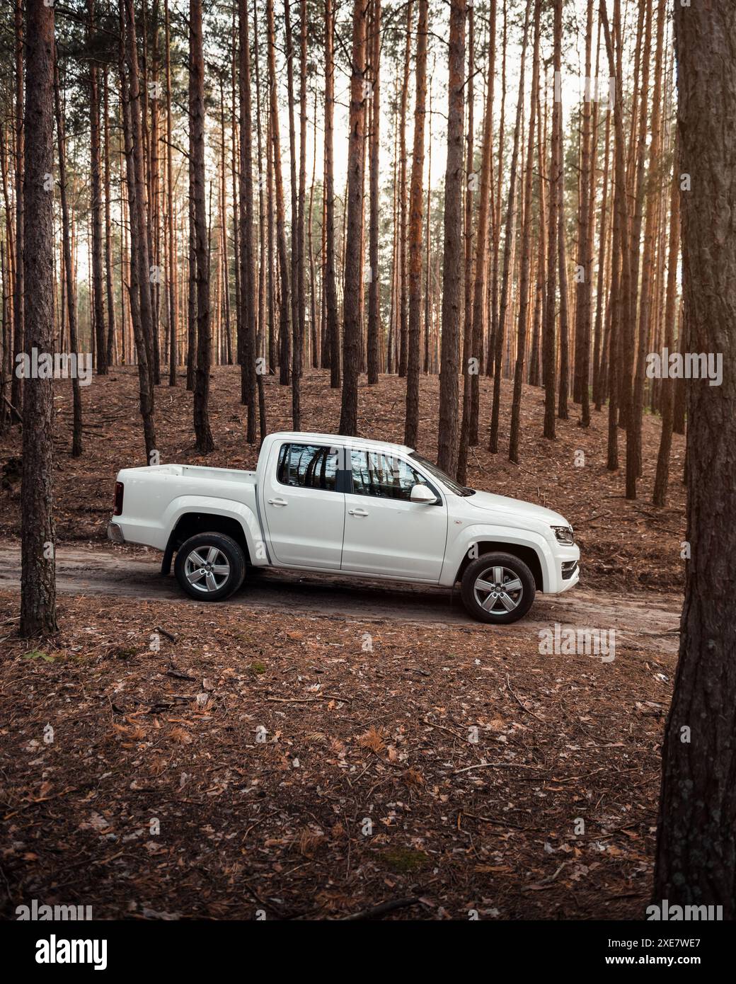 Bianco Volkswagen Amarok in una foresta. Vista profilo laterale del pick-up VW con cabina doppia nella pineta al tramonto. Foto Stock