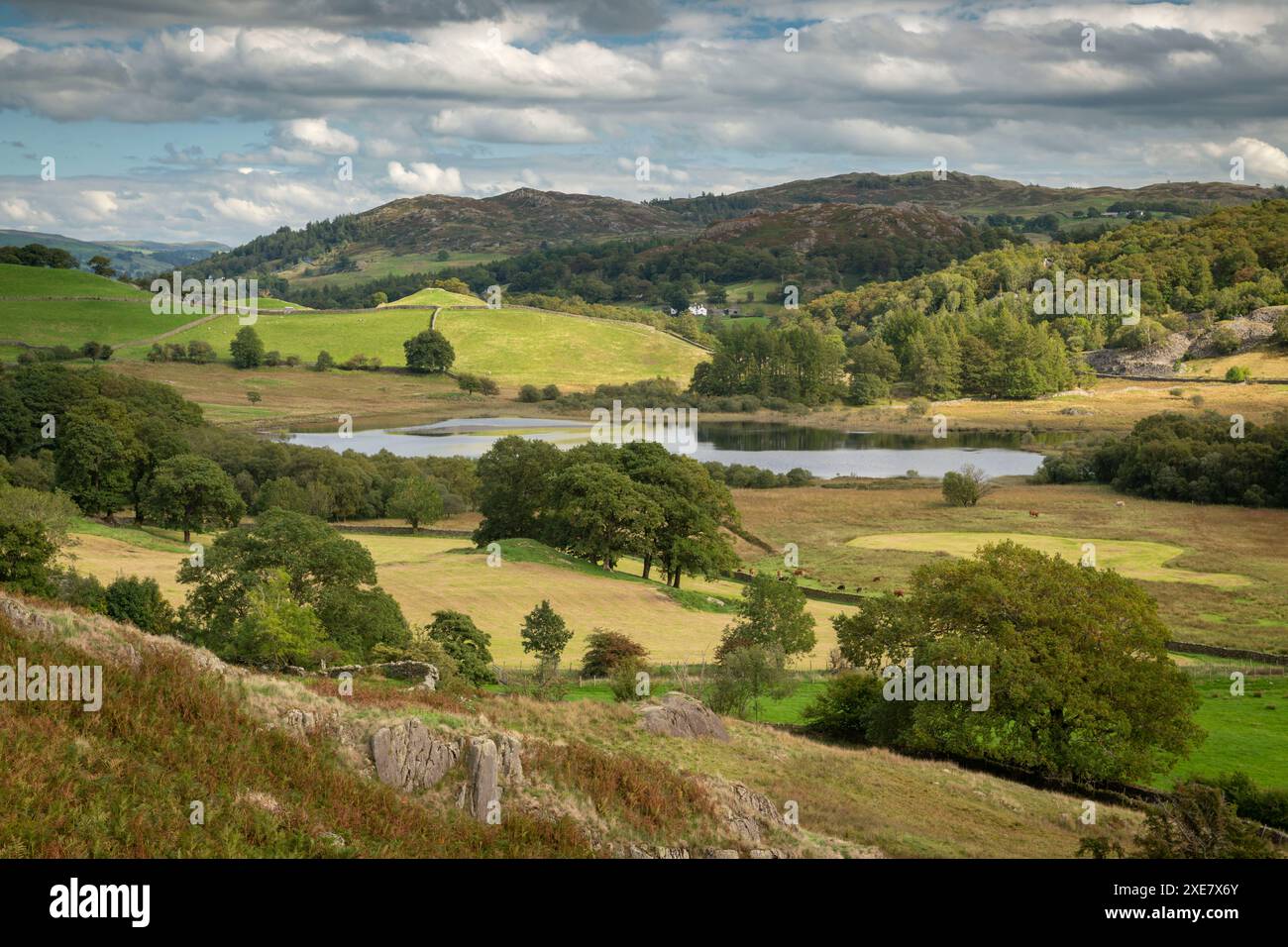 Little Langdale Valley nel Lake District National Park, Cumbria, Inghilterra. Autunno (settembre) 2019. Foto Stock