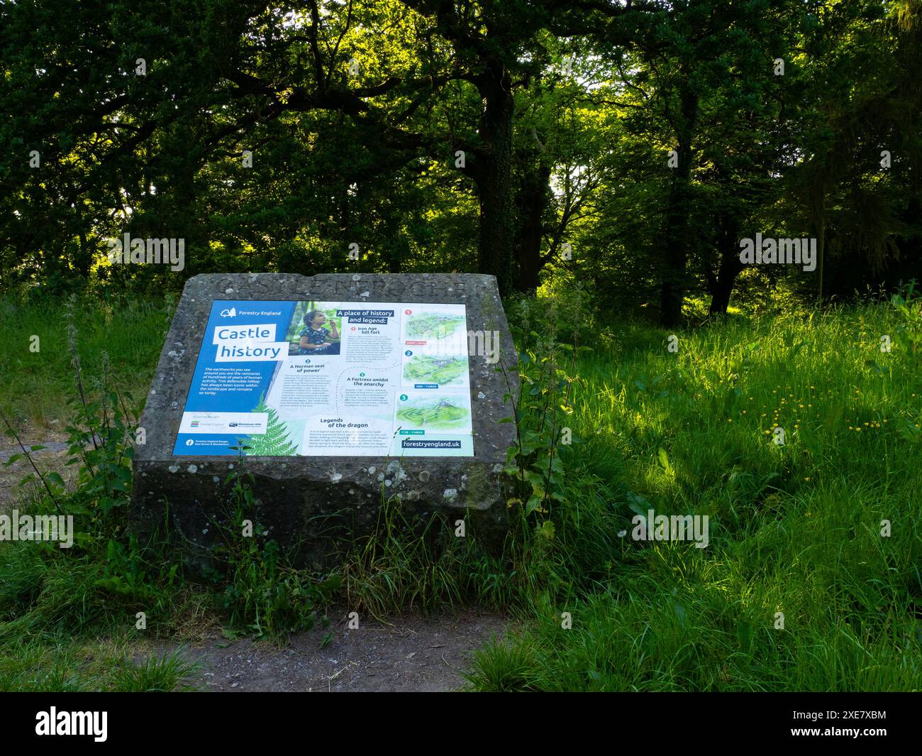 Cartello informativo Castle Neroche, Buckland St Mary, Chard, Somerset, Regno Unito Foto Stock