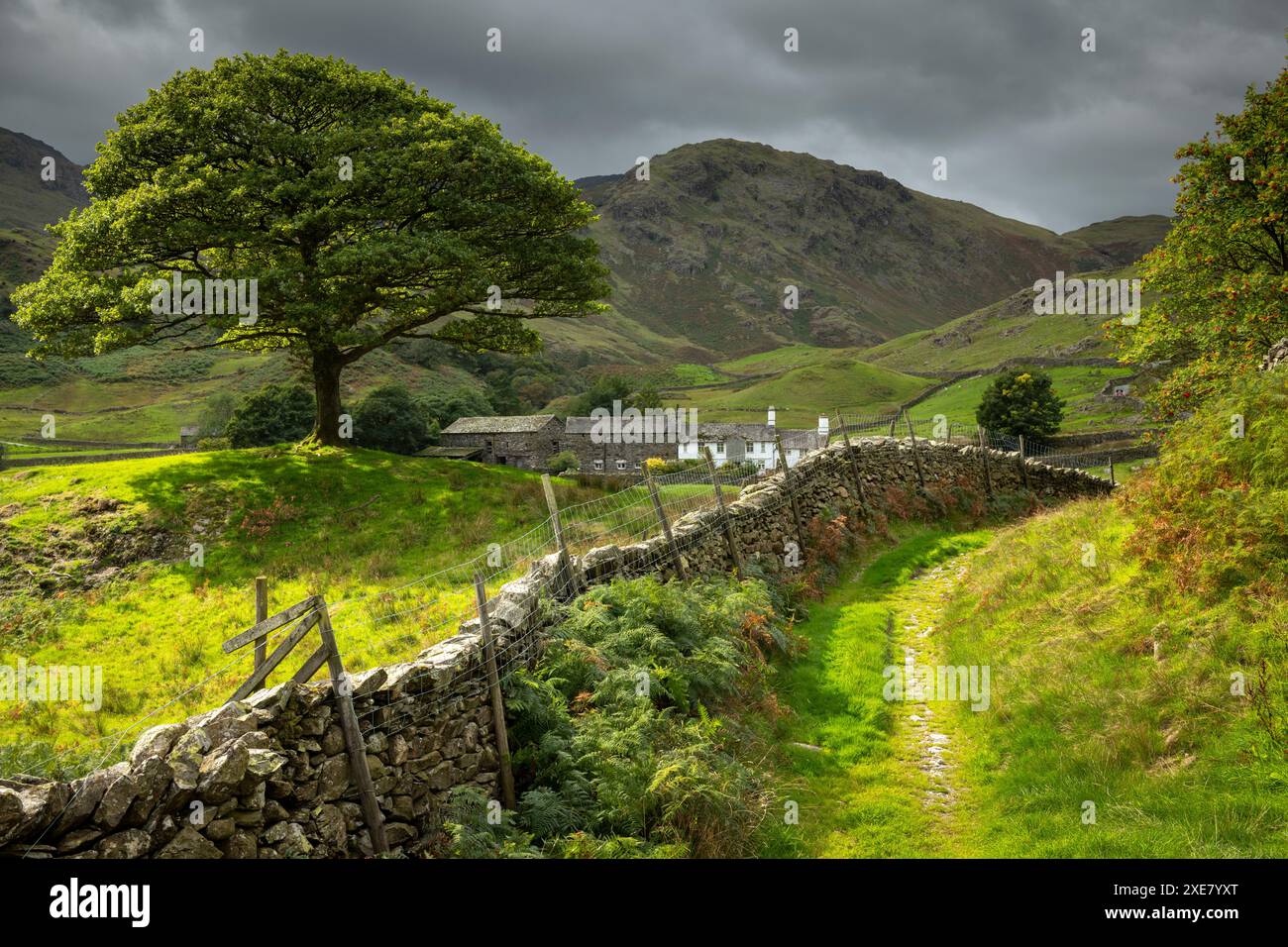 Vista idilliaca della fattoria e della campagna con pareti a secco nella Langdale Valley, Lake District National Park, Cumbria, Inghilterra. Autunno (settembre) 2018. Foto Stock