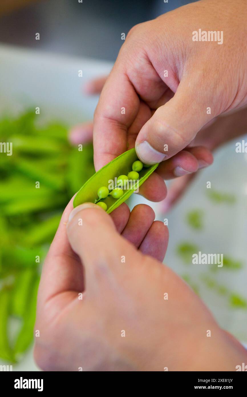 I piselli. Luis Irizar scuola di cucina. Donostia, Gipuzkoa, Paesi Baschi Foto Stock