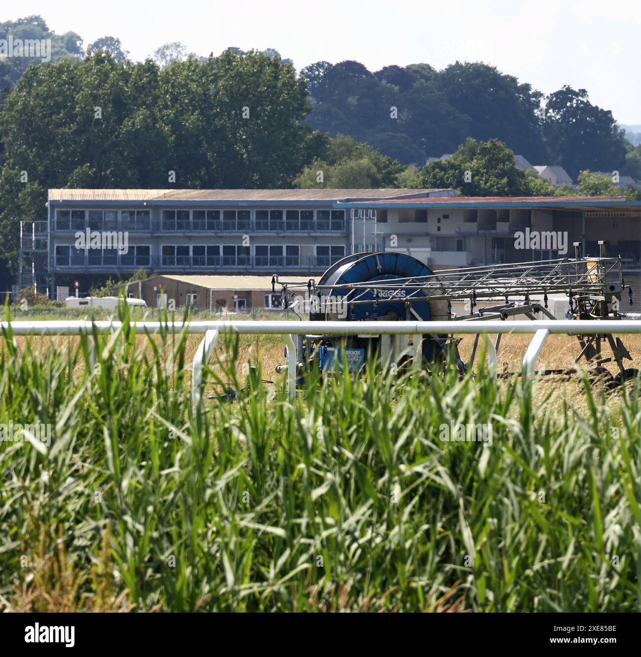 Newton Abbot, Devon, Regno Unito. 26 giugno 2024. Scena all'ippodromo di Newton Abbot dopo il fatidico incontro di ieri, dove sono morti 4 cavalli. Crediti: Nidpor/Alamy Live News Foto Stock