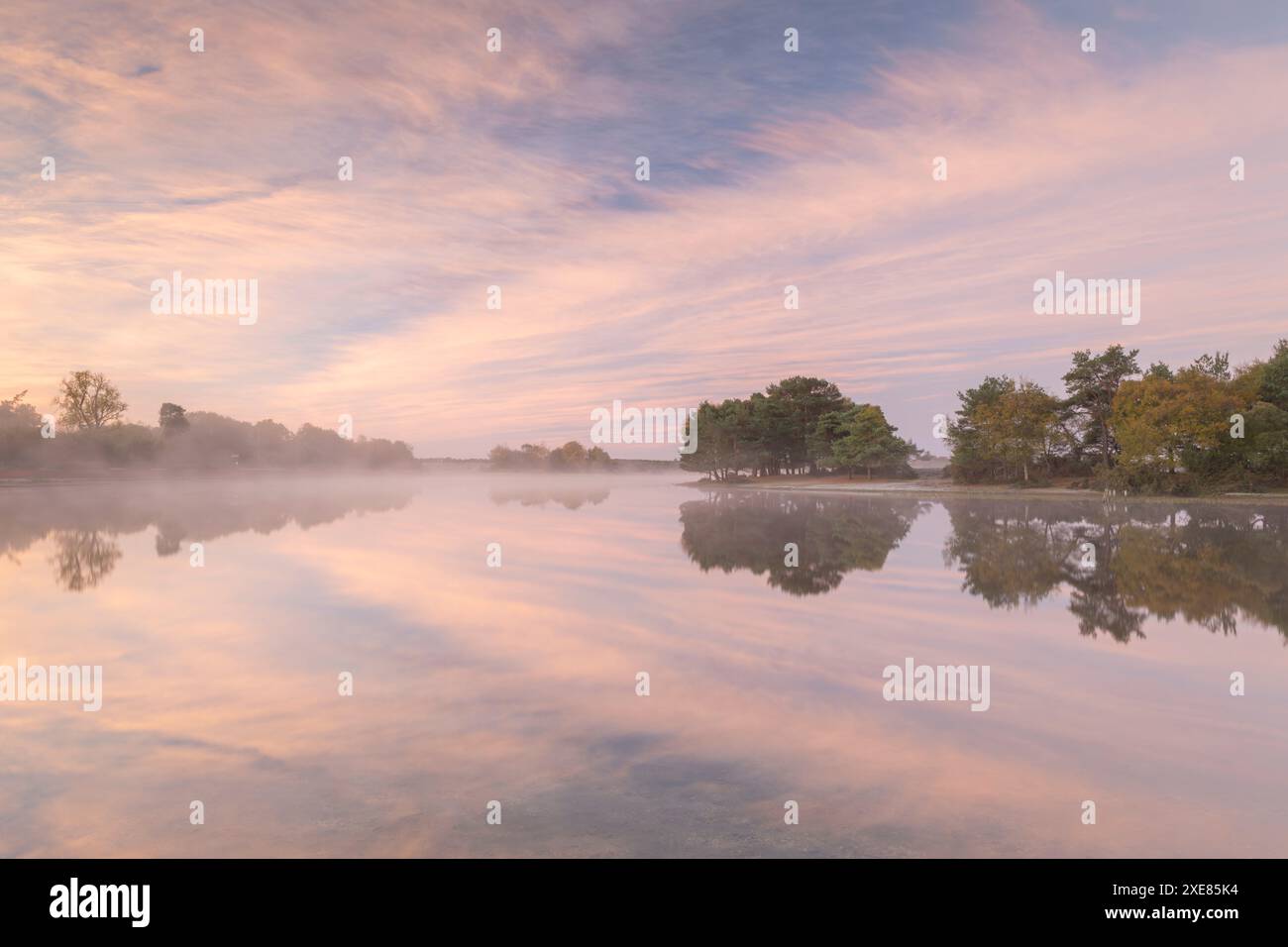 Lo stagno Hatchet Pond riflette una splendida alba rosa nebbiosa, Beaulieu, New Forest, Inghilterra. Autunno (novembre) 2018. Foto Stock