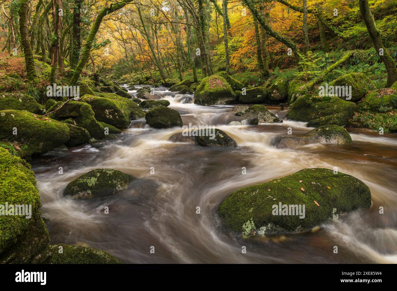 Ruscello boschivo che scorre rapidamente in autunno, fiume Plym, Dartmoor National Park, Devon, Inghilterra. Autunno (novembre) 2018. Foto Stock