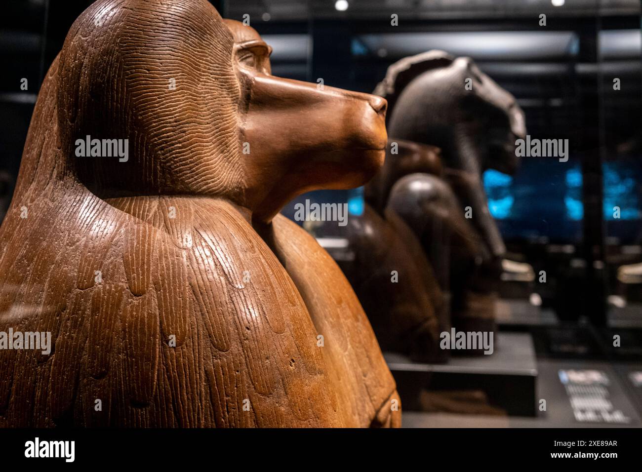 Figura di un babbuino in squattamento Foto Stock