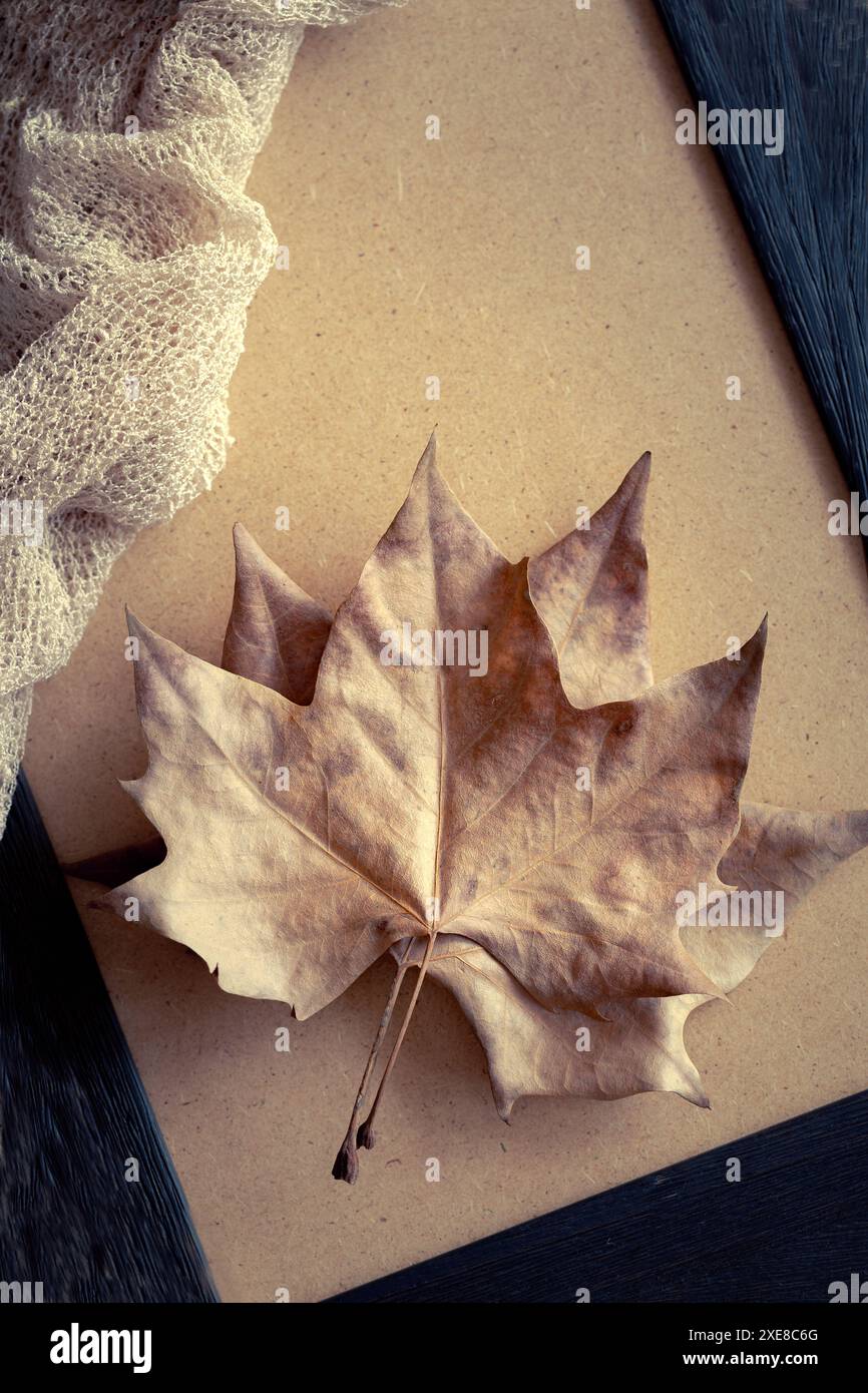 Foglie d'albero marroni essiccate su una cornice nera inclinata e fondo marrone, sulla parte superiore è presente anche un panno. Ideale per la decorazione. Verticale. Foto Stock