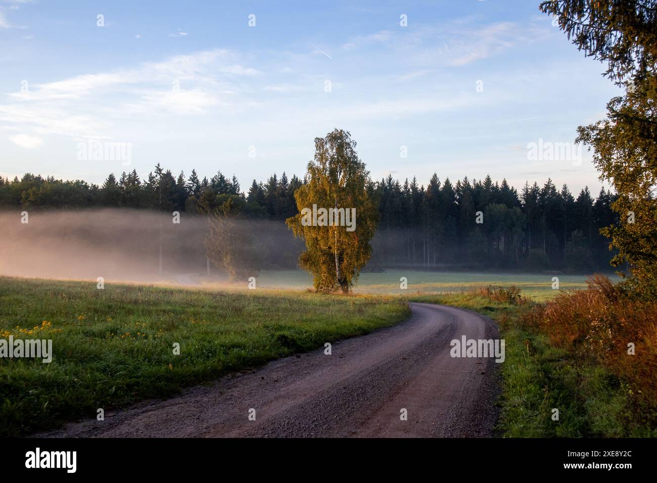 Percorso mattutino con ansa e nebbia Foto Stock