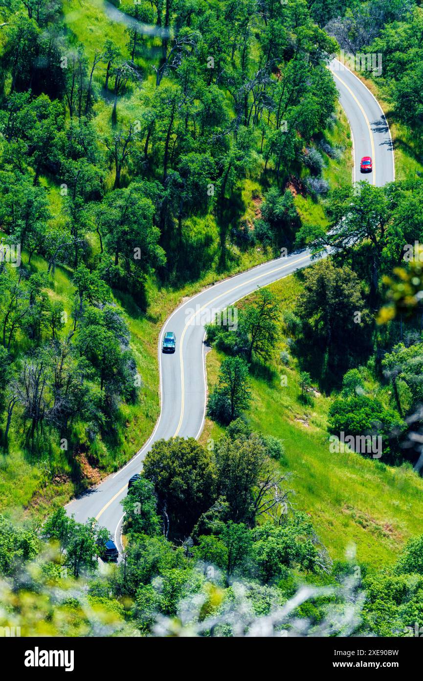 Autostrada generale ripida e ventosa; tra Hospital Rock e Big Trees Trail; Sequoia National Park; California; Stati Uniti Foto Stock