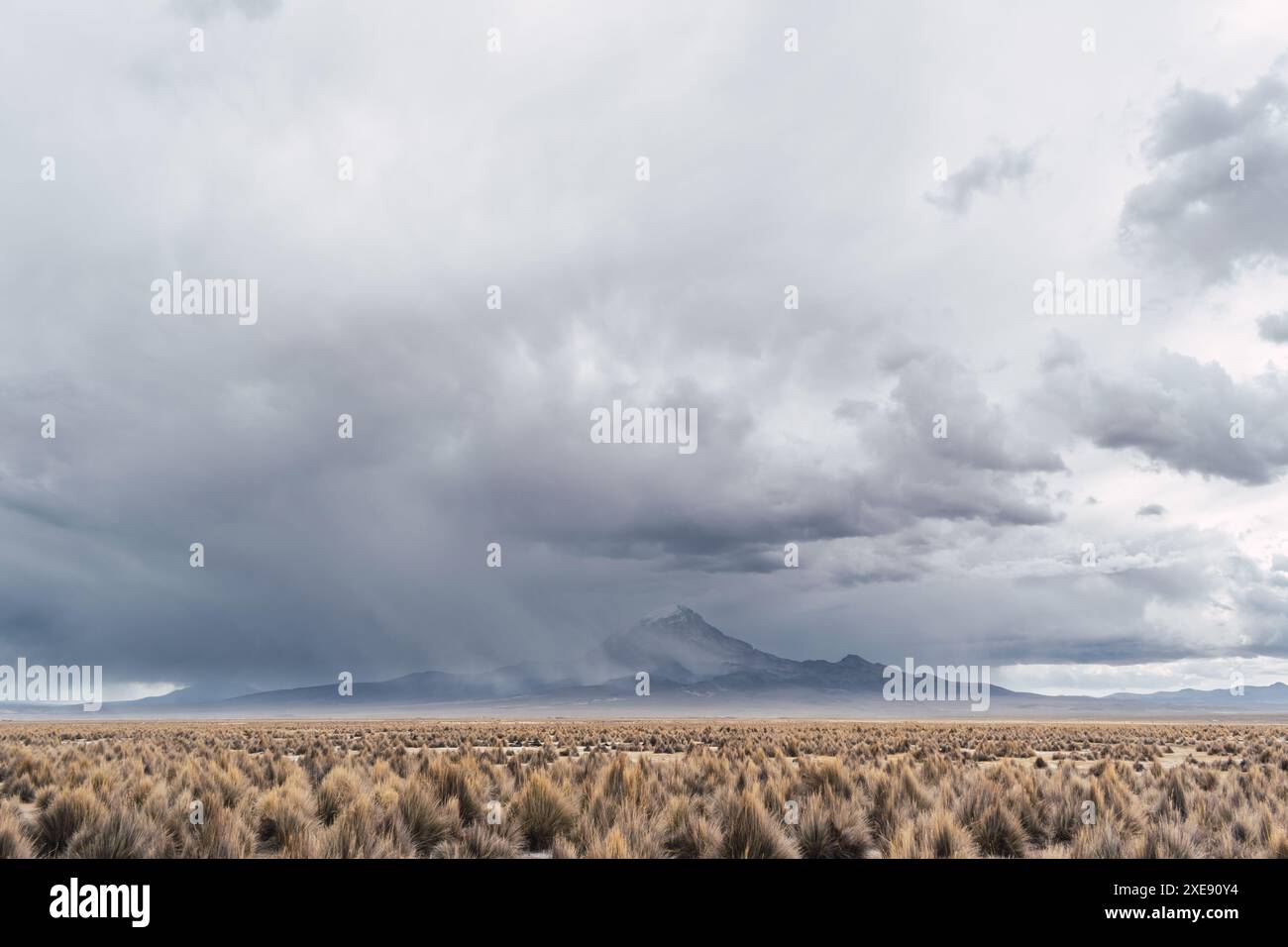 Parco nazionale di Sajama circondato da montagne innevate nella stagione delle piogge con nuvole nere e sole circondati da vegetazione secca e caffè Foto Stock