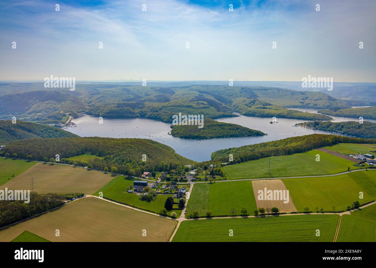 Vista aerea, Rursee con l'isola di Eichert, la diga di Rur Schwammenauel e la navigazione Rursee con barche a vela, di fronte alla tenuta residenziale Scheidbaum, fores Foto Stock