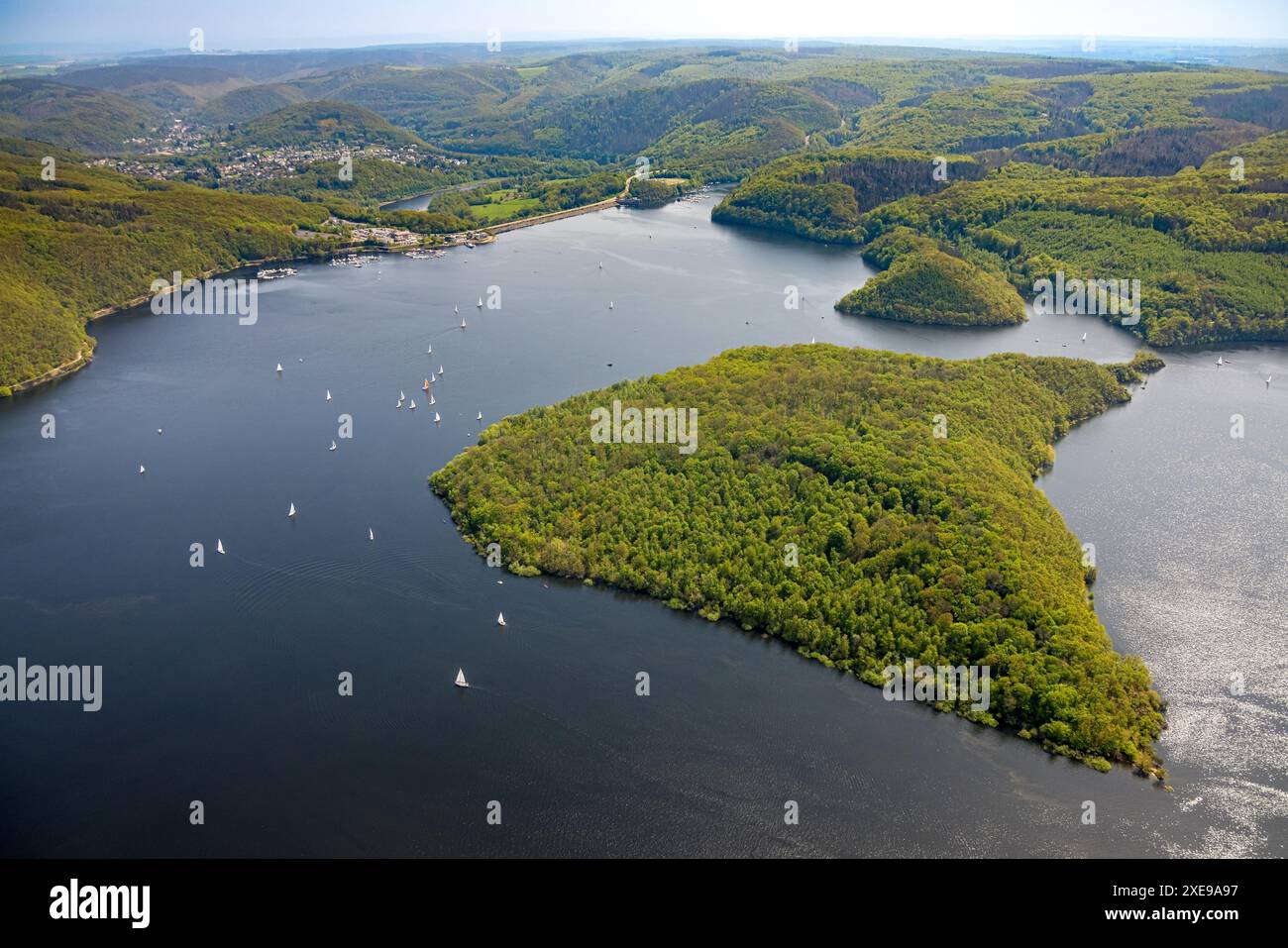 Vista aerea, Rursee con l'isola di Eichert, la diga di Rur Schwammenauel e la navigazione Rursee con barche a vela, colline e valli della foresta, Eifel National Foto Stock