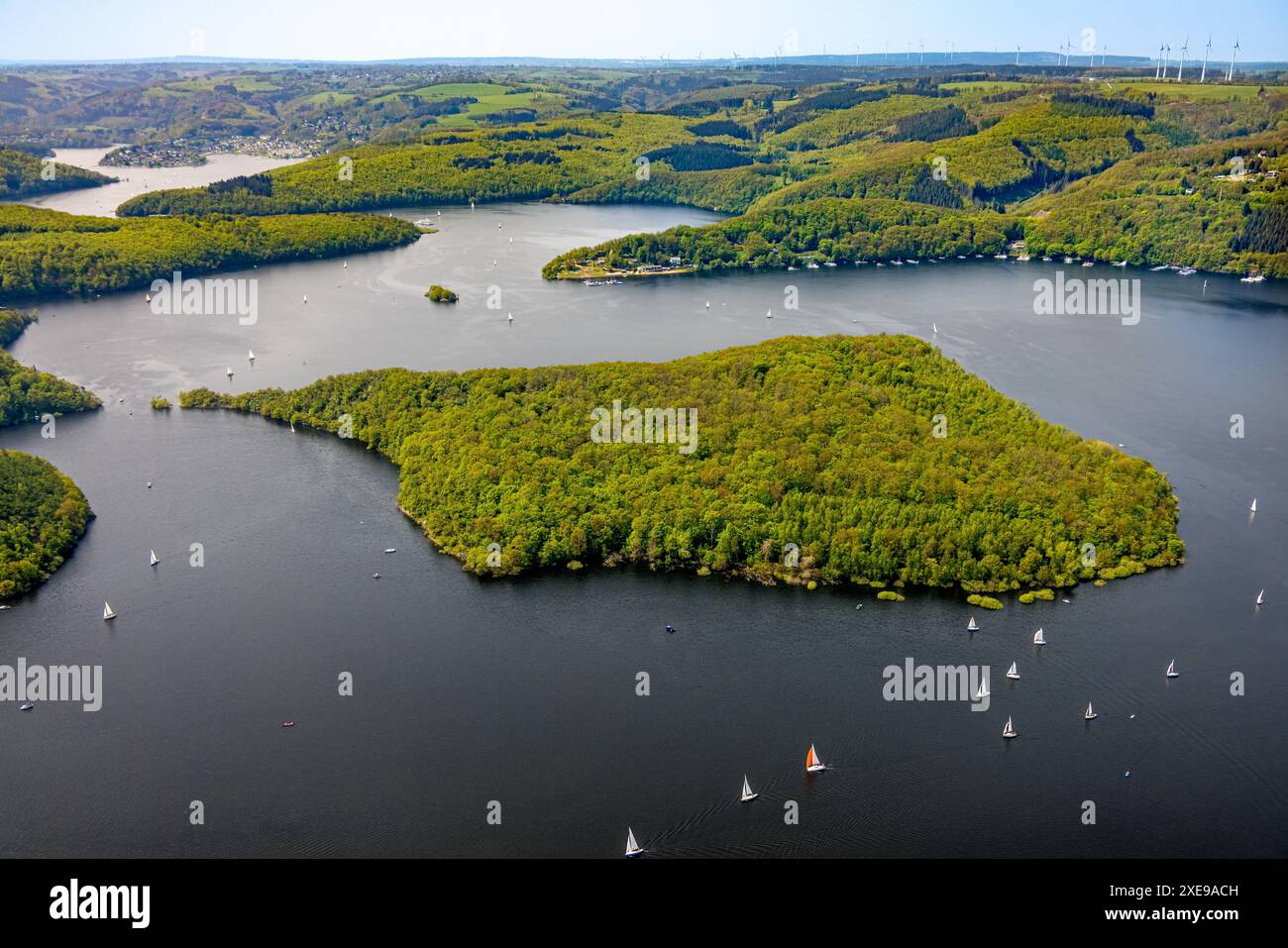 Vista aerea, Rursee con l'isola di Eichert, la diga di Rur Schwammenauel e la navigazione Rursee con barche a vela, colline e valli della foresta, Eifel National Foto Stock Vista aerea, Rursee con l'isola di Eichert, la diga di Rur Schwammenauel e la navigazione Rursee con barche a vela, colline e valli della foresta, Eifel National Foto Stock