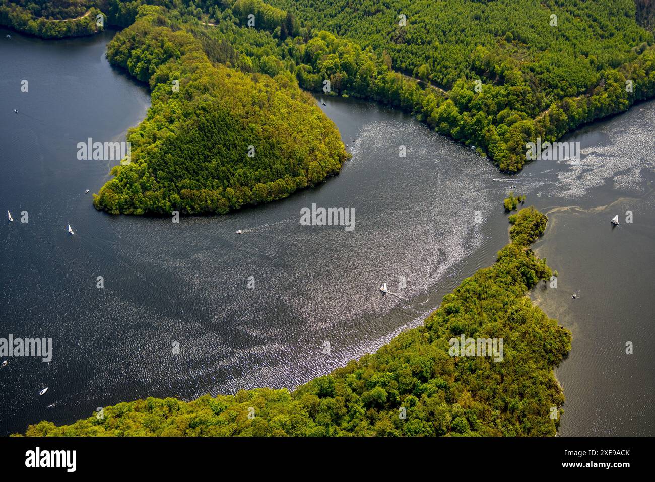 Vista aerea, Rursee Rurtalsperre e zone costiere boscose, Rursee con punta dell'isola Eichert e penisola Tonsberg e barche a vela in backlig Foto Stock Vista aerea, Rursee Rurtalsperre e zone costiere boscose, Rursee con punta dell'isola Eichert e penisola Tonsberg e barche a vela in backlig Foto Stock