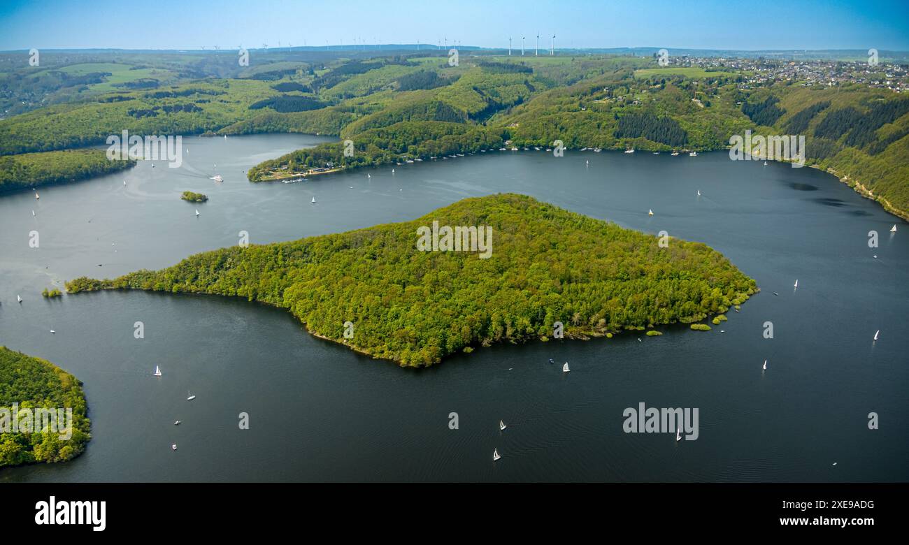 Vista aerea, Rursee con l'isola di Eichert, la diga di Rur Schwammenauel e la navigazione Rursee con barche a vela, colline e valli della foresta, Eifel National Foto Stock Vista aerea, Rursee con l'isola di Eichert, la diga di Rur Schwammenauel e la navigazione Rursee con barche a vela, colline e valli della foresta, Eifel National Foto Stock