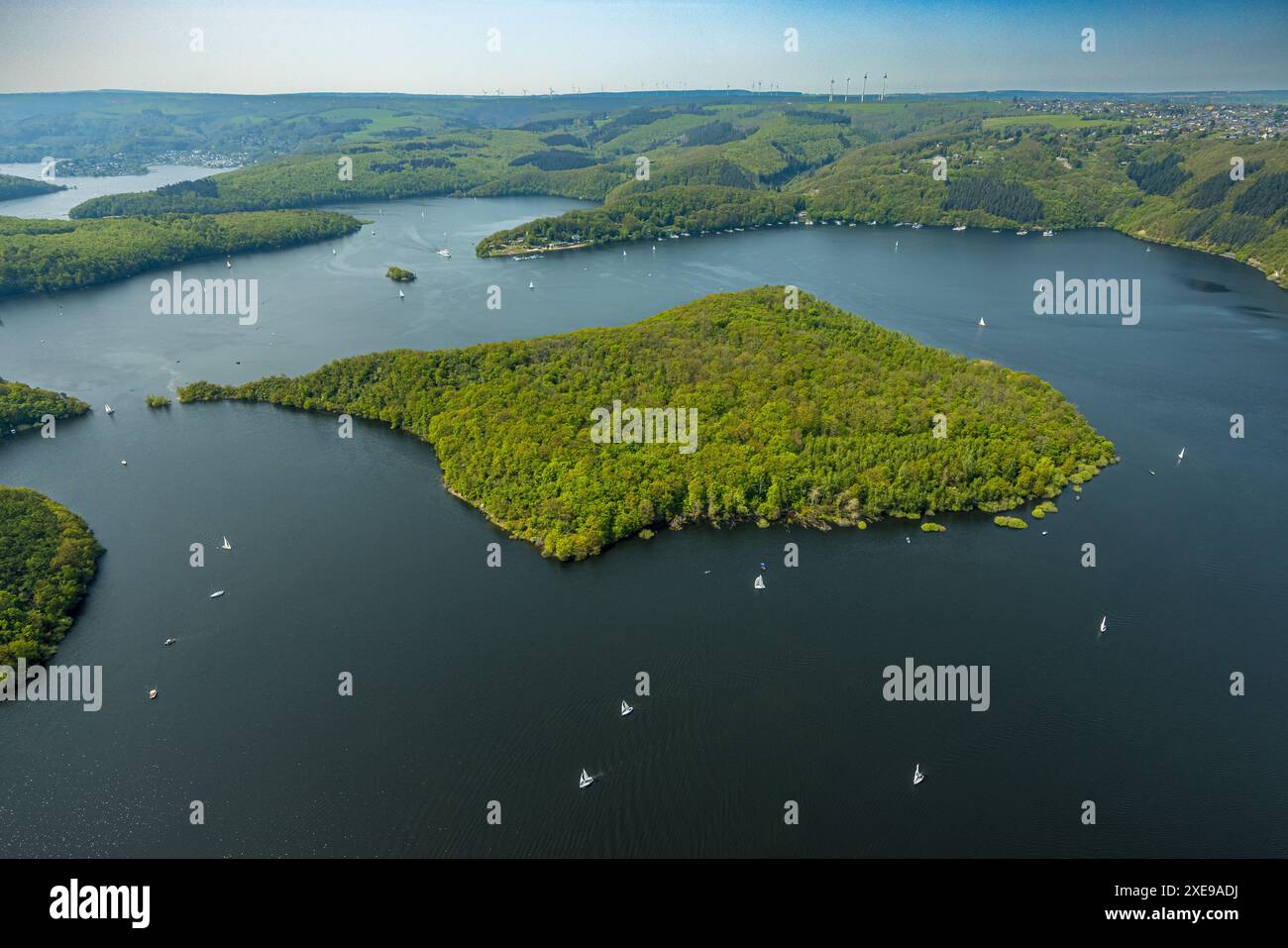 Vista aerea, Rursee con l'isola di Eichert, la diga di Rur Schwammenauel e la navigazione Rursee con barche a vela, colline e valli della foresta, Eifel National Foto Stock Vista aerea, Rursee con l'isola di Eichert, la diga di Rur Schwammenauel e la navigazione Rursee con barche a vela, colline e valli della foresta, Eifel National Foto Stock