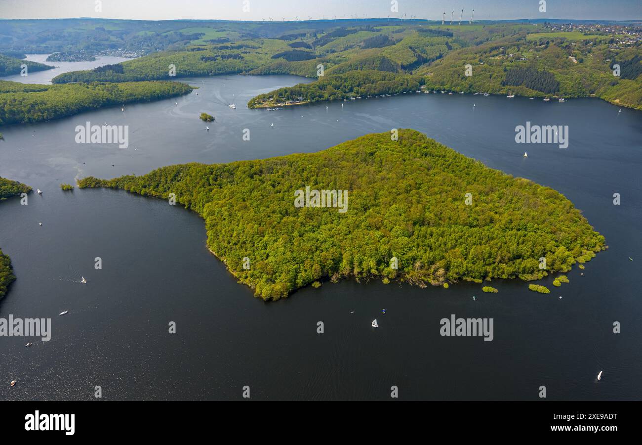 Vista aerea, Rursee con l'isola di Eichert, la diga di Rur Schwammenauel e la navigazione Rursee con barche a vela, colline e valli della foresta, Eifel National Foto Stock Vista aerea, Rursee con l'isola di Eichert, la diga di Rur Schwammenauel e la navigazione Rursee con barche a vela, colline e valli della foresta, Eifel National Foto Stock