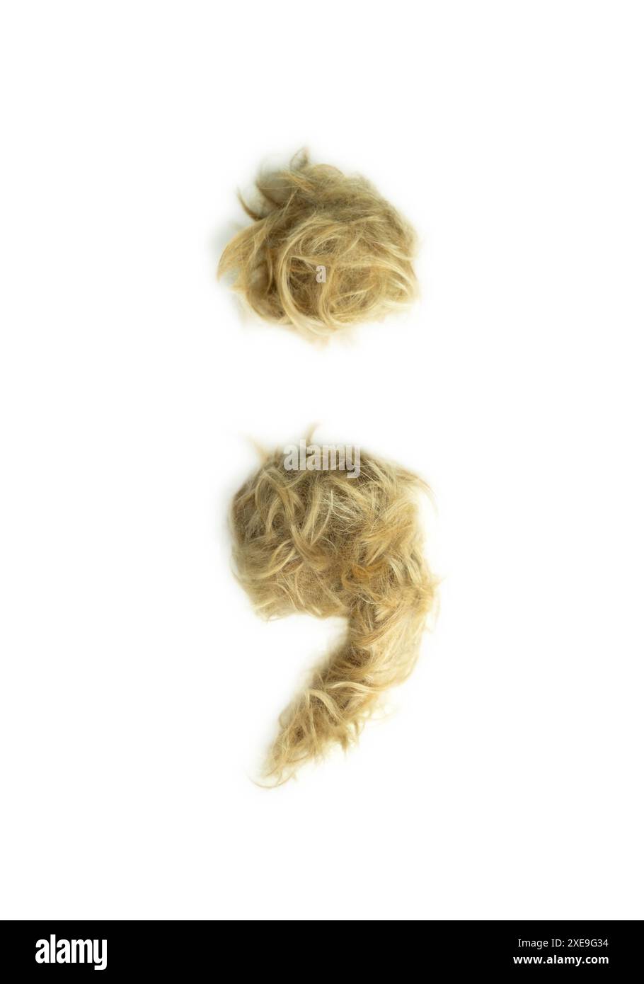 Tipografia creativa realizzata con veri peli di cane. Capelli biondi su sfondo bianco cani, gatti, animali domestici, mostri e altri animali pelosi. Alfabeto completo. Se Foto Stock