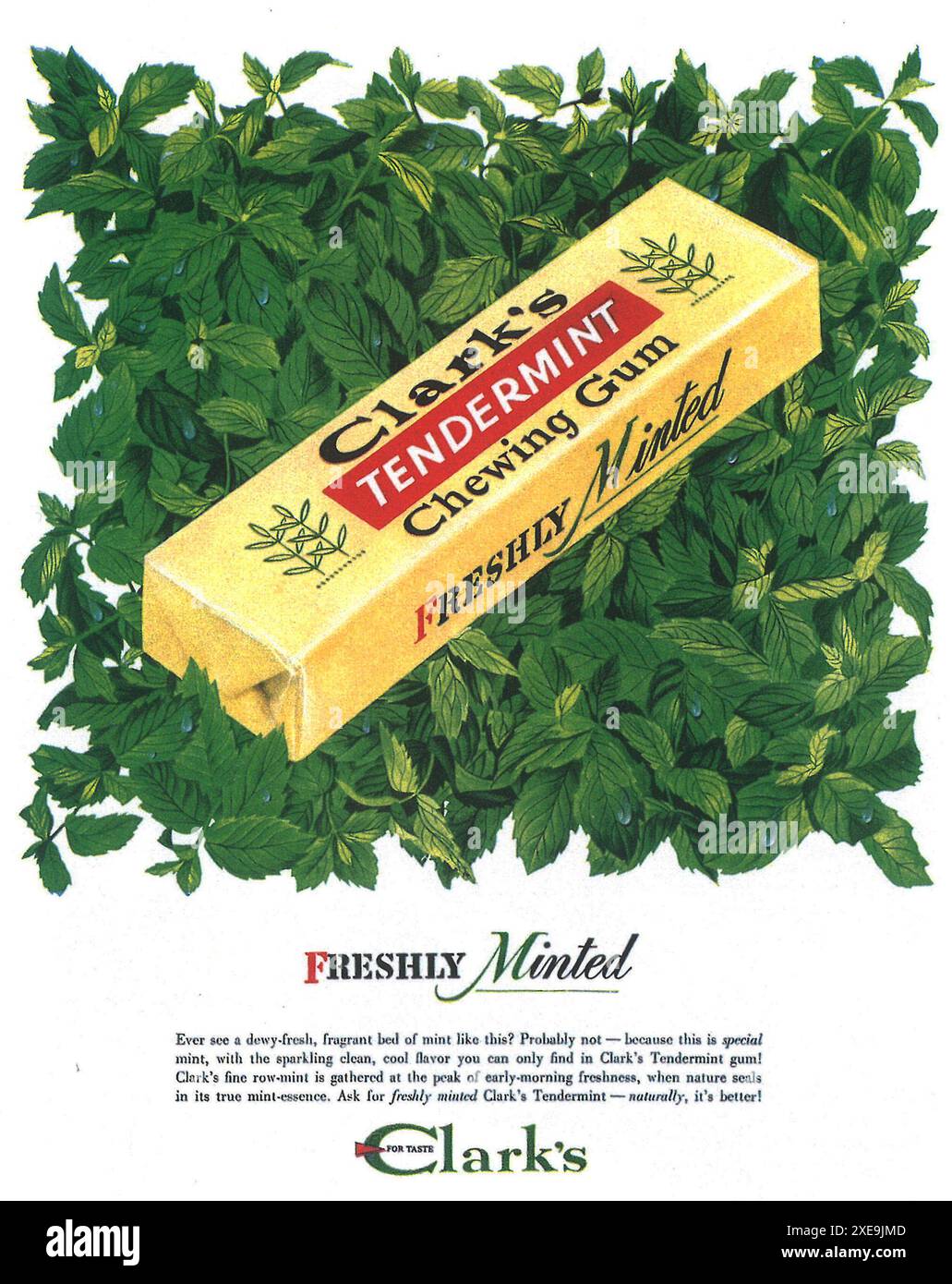 1948 Clark's Tendemint chewing Gum ad Foto Stock