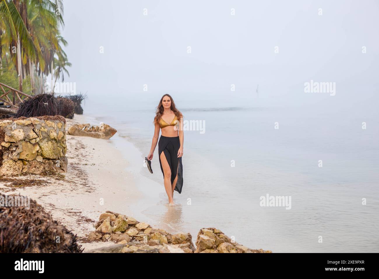 Solitude in Paradise: Un bellissimo viaggio lungo la costa caraibica di Foggy Foto Stock