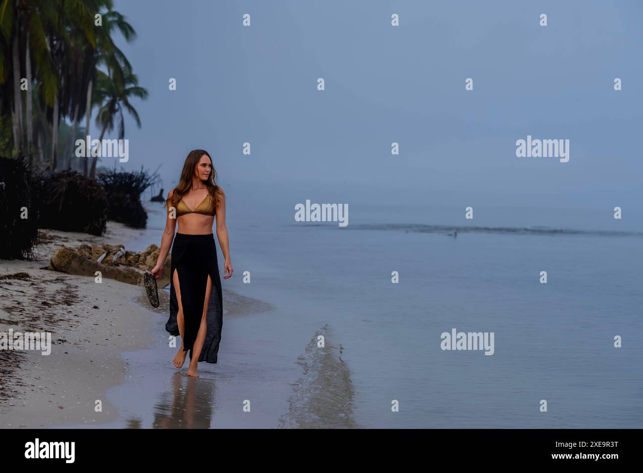 Solitude in Paradise: Un bellissimo viaggio lungo la costa caraibica di Foggy Foto Stock