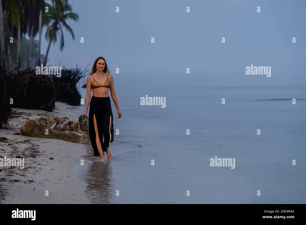 Solitude in Paradise: Un bellissimo viaggio lungo la costa caraibica di Foggy Foto Stock