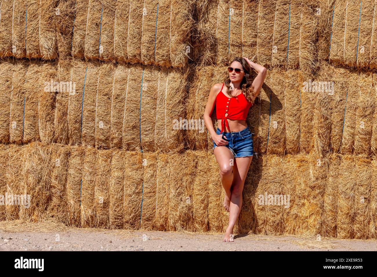 Brunette Beauty in Golden Fields: Una posa accattivante sotto i cieli azzurri Foto Stock