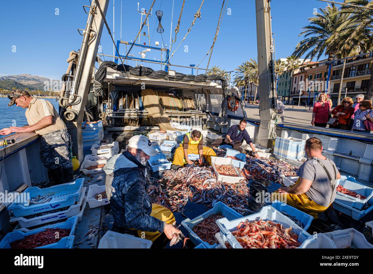 Marinai che selezionano il pesce Foto Stock