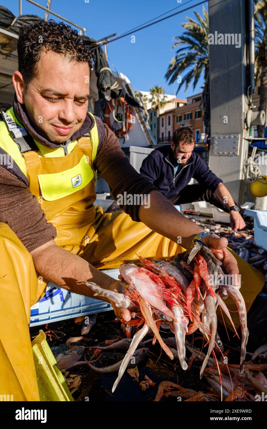 Marinai che selezionano il pesce Foto Stock