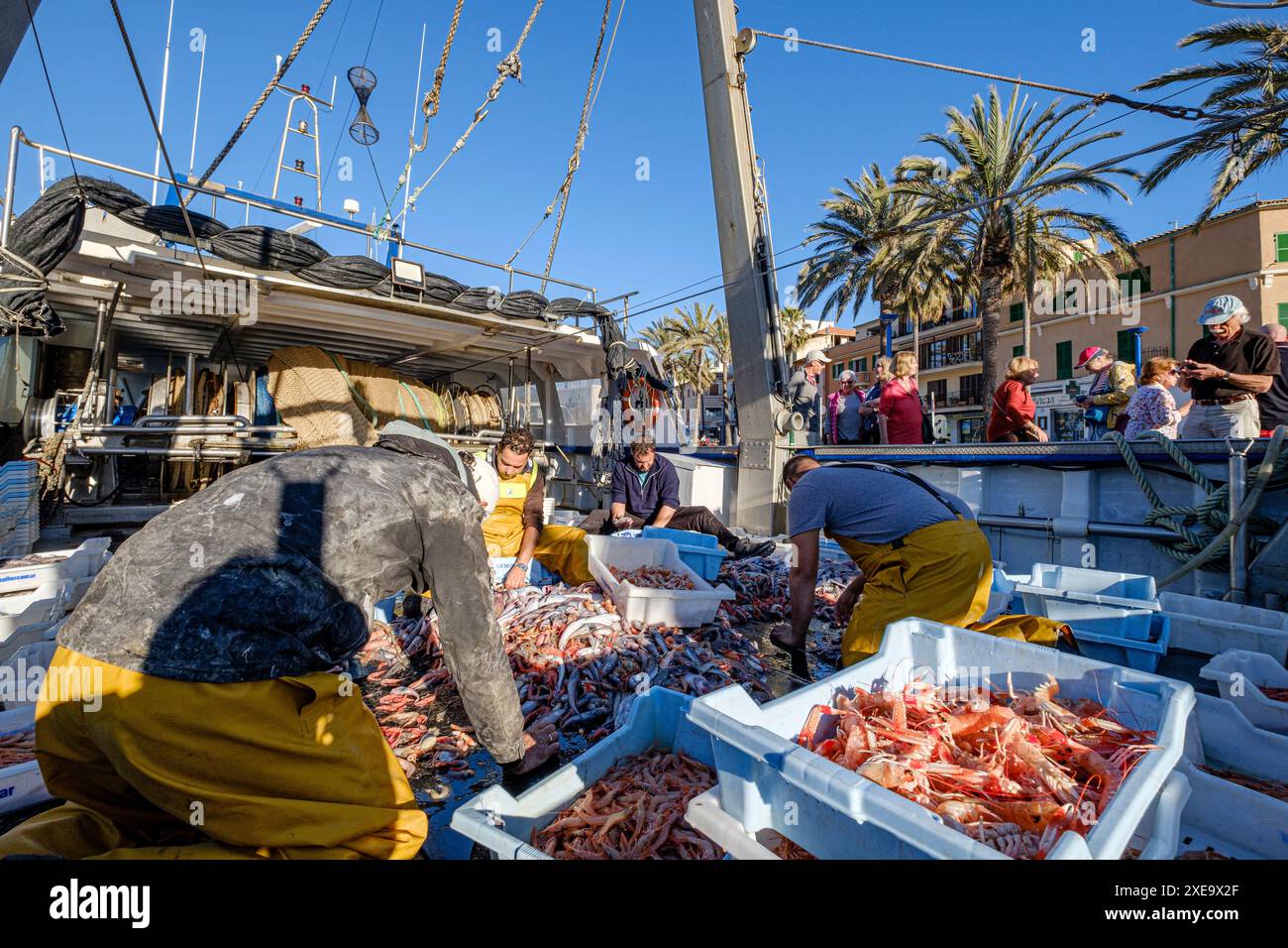 Marinai che selezionano il pesce Foto Stock
