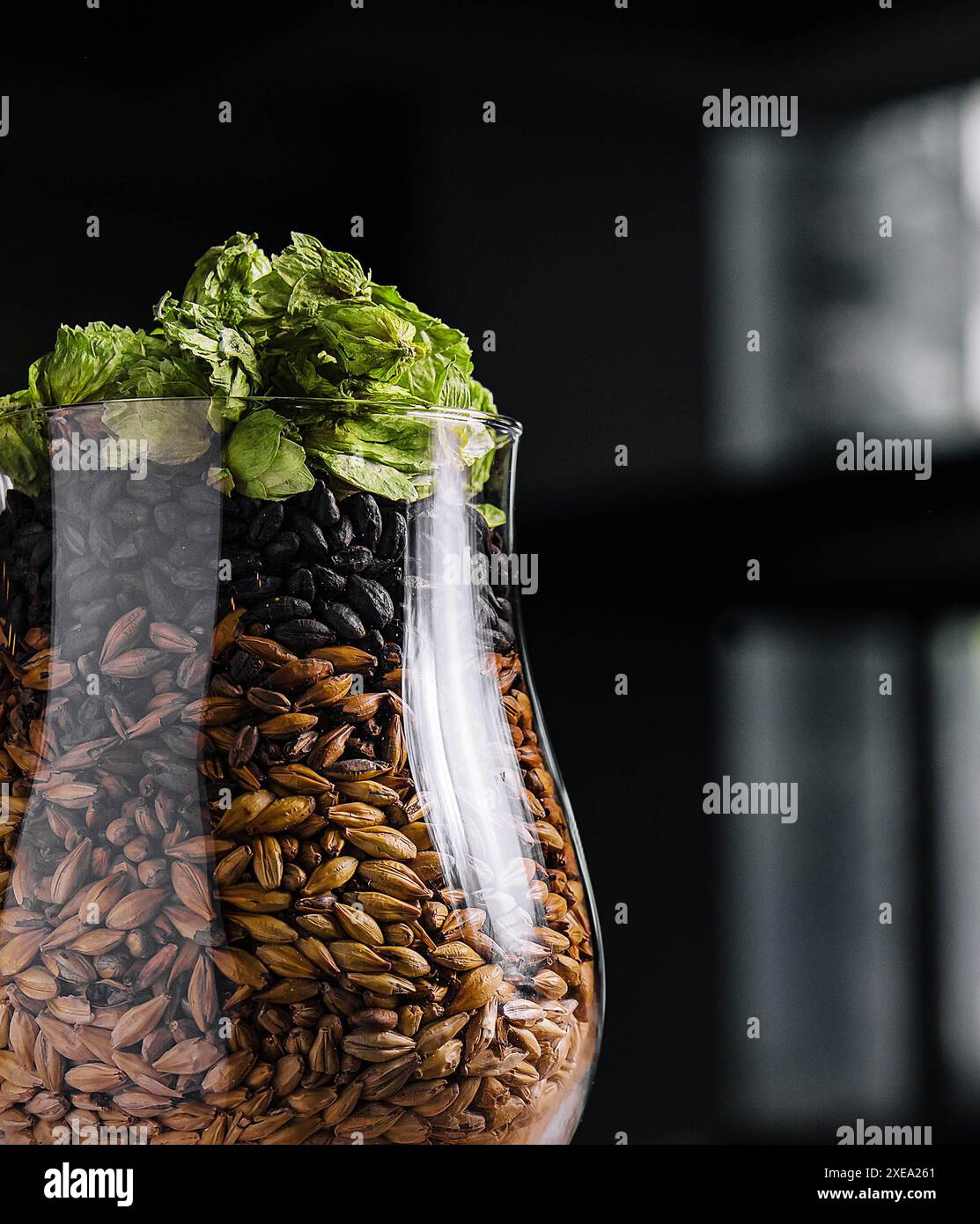 Luppolo e frumento in un bicchiere per birra Foto Stock