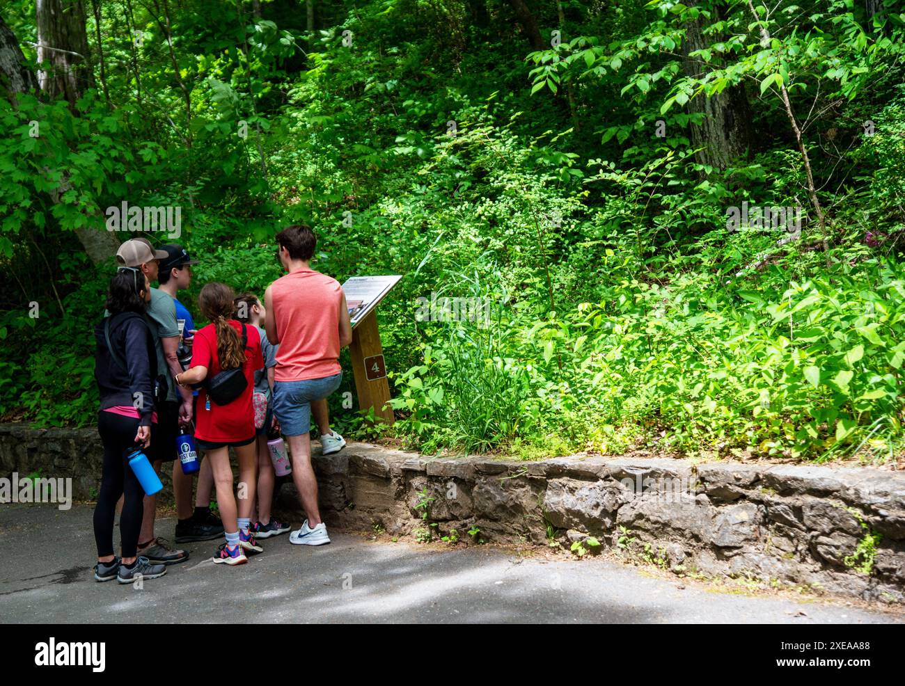 Le famiglie si riuniscono intorno a un cartello con la storia del Natural Bridge State Park, Virginia. Foto Stock