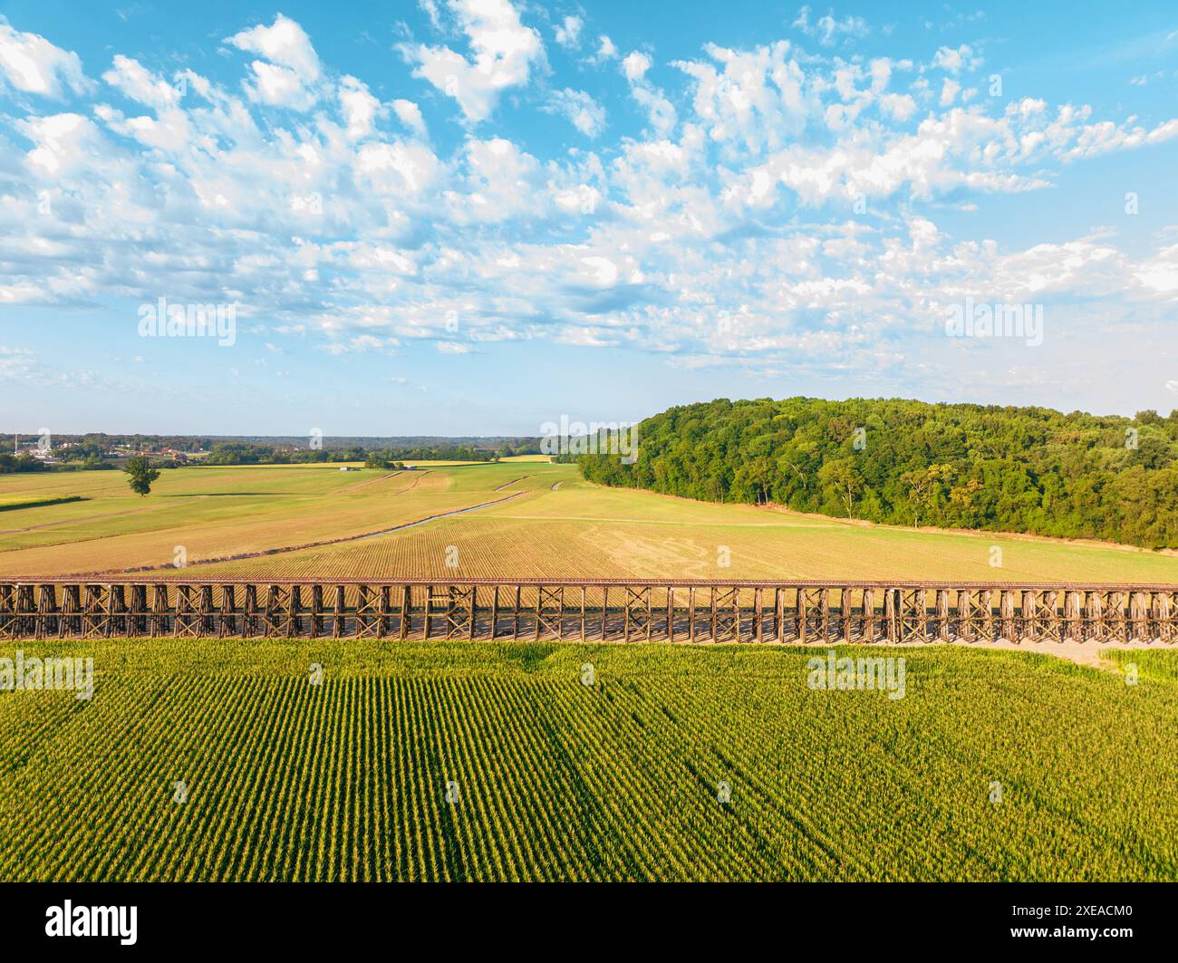 Traccia i campi Foto Stock