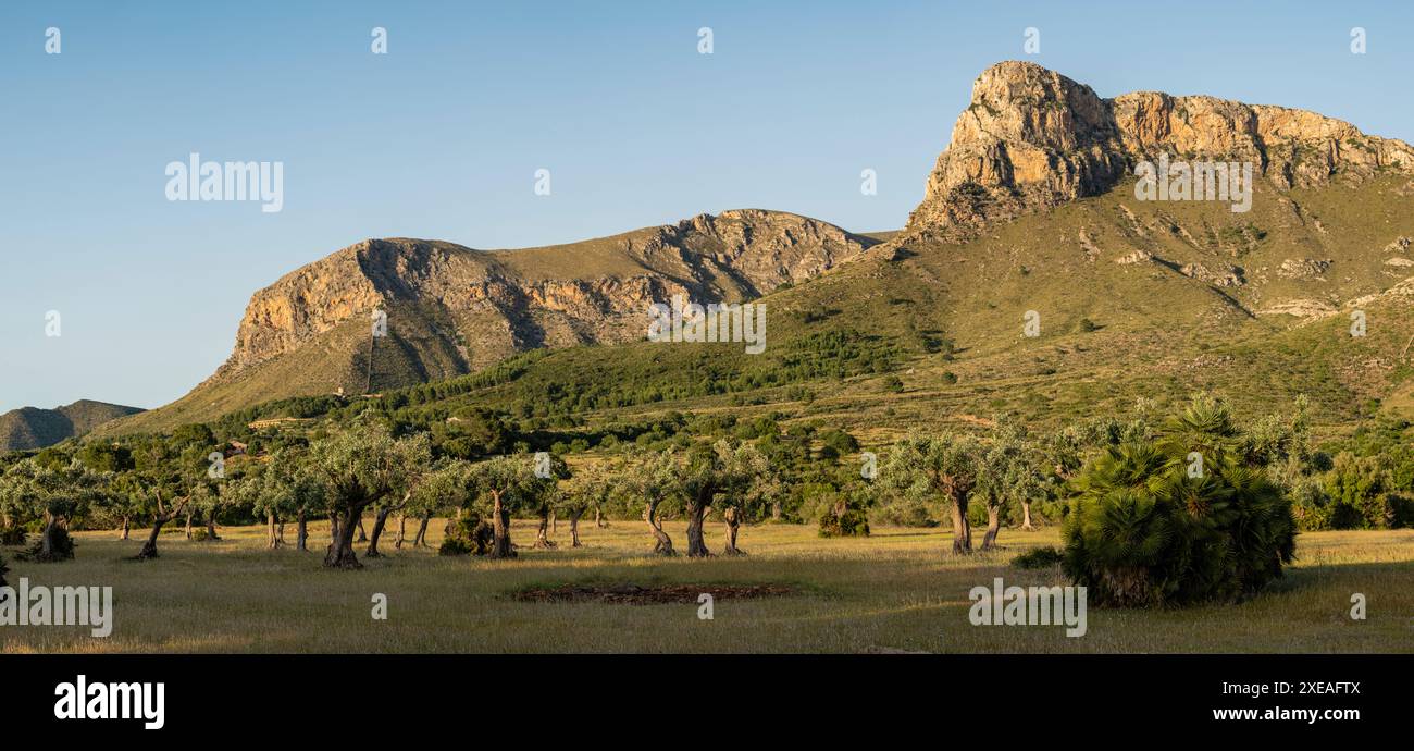 Parco naturale della penisola di Llevant Foto Stock
