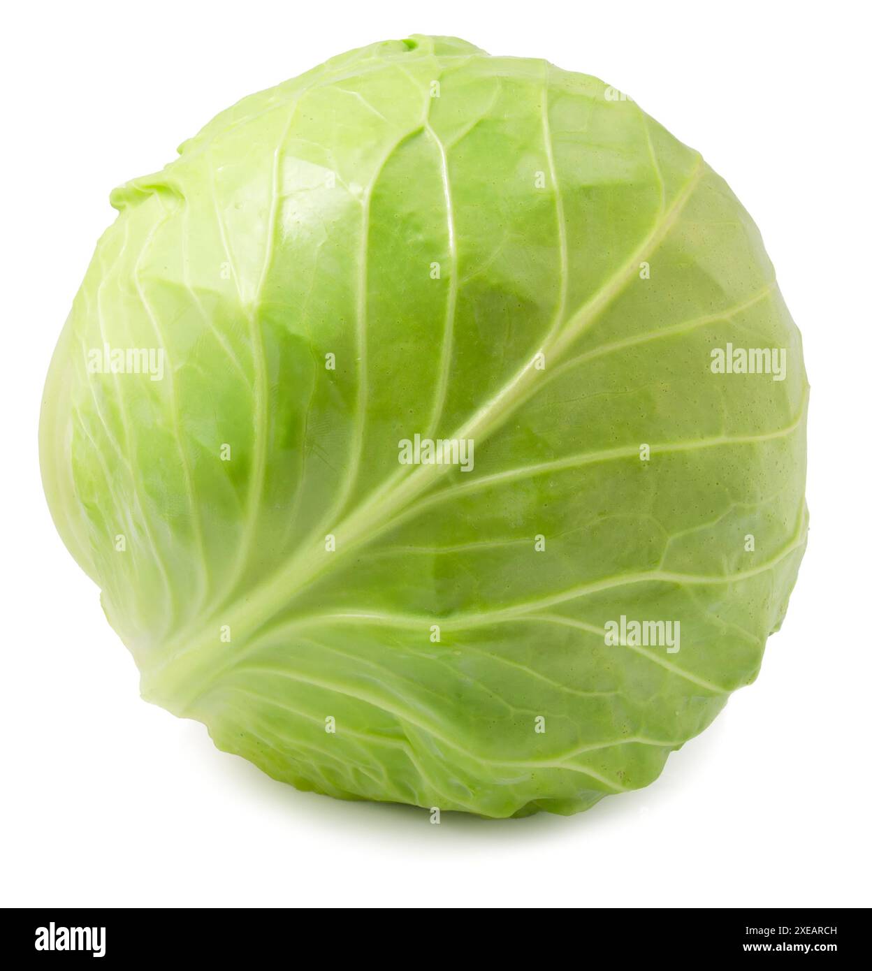 Cavolo bianco intero isolato su sfondo bianco. Foto Stock