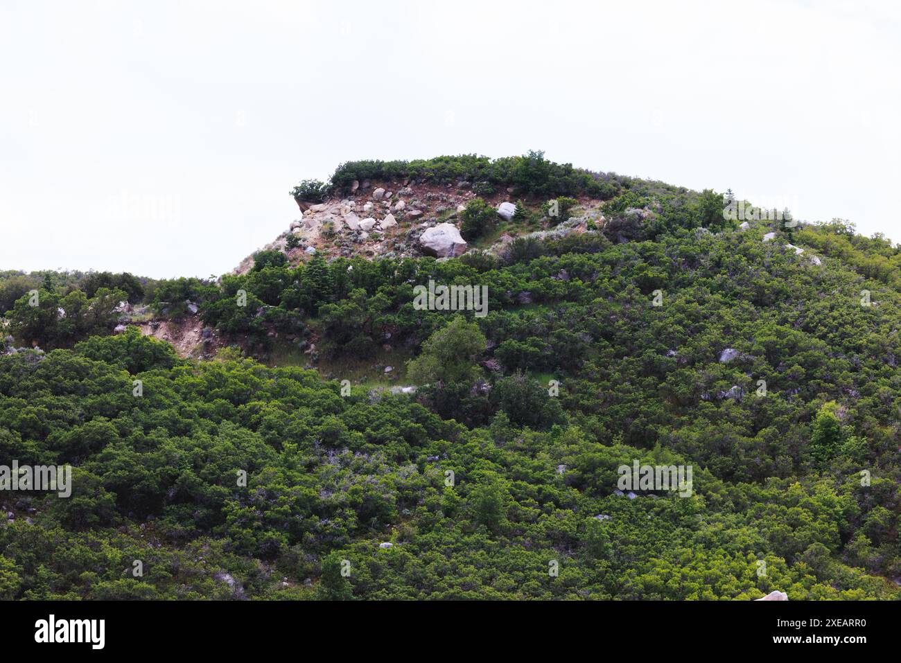 Una vista panoramica di una lussureggiante collina verde con un affioramento roccioso prominente sotto un cielo limpido e luminoso. Un tranquillo paesaggio naturale. Foto Stock